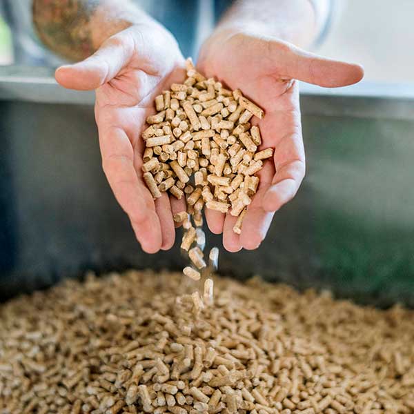 100 % Weichholzpellets / DIN+ lose